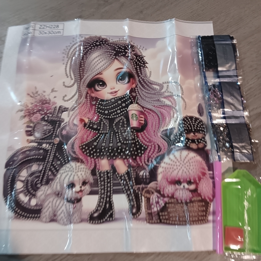 Cute Doll Diamond Art Paint Kit with Dogs and Motorcycle 30x30 - Picture 1 of 4